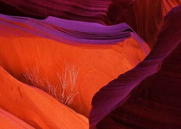 canyon